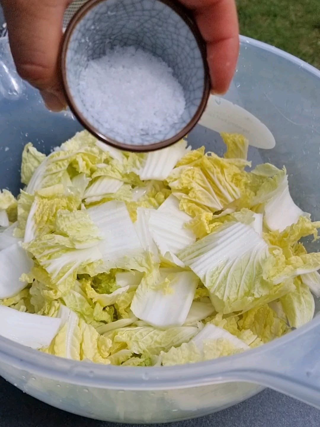 cut the cabbage and add salt and let them set for a few hours
