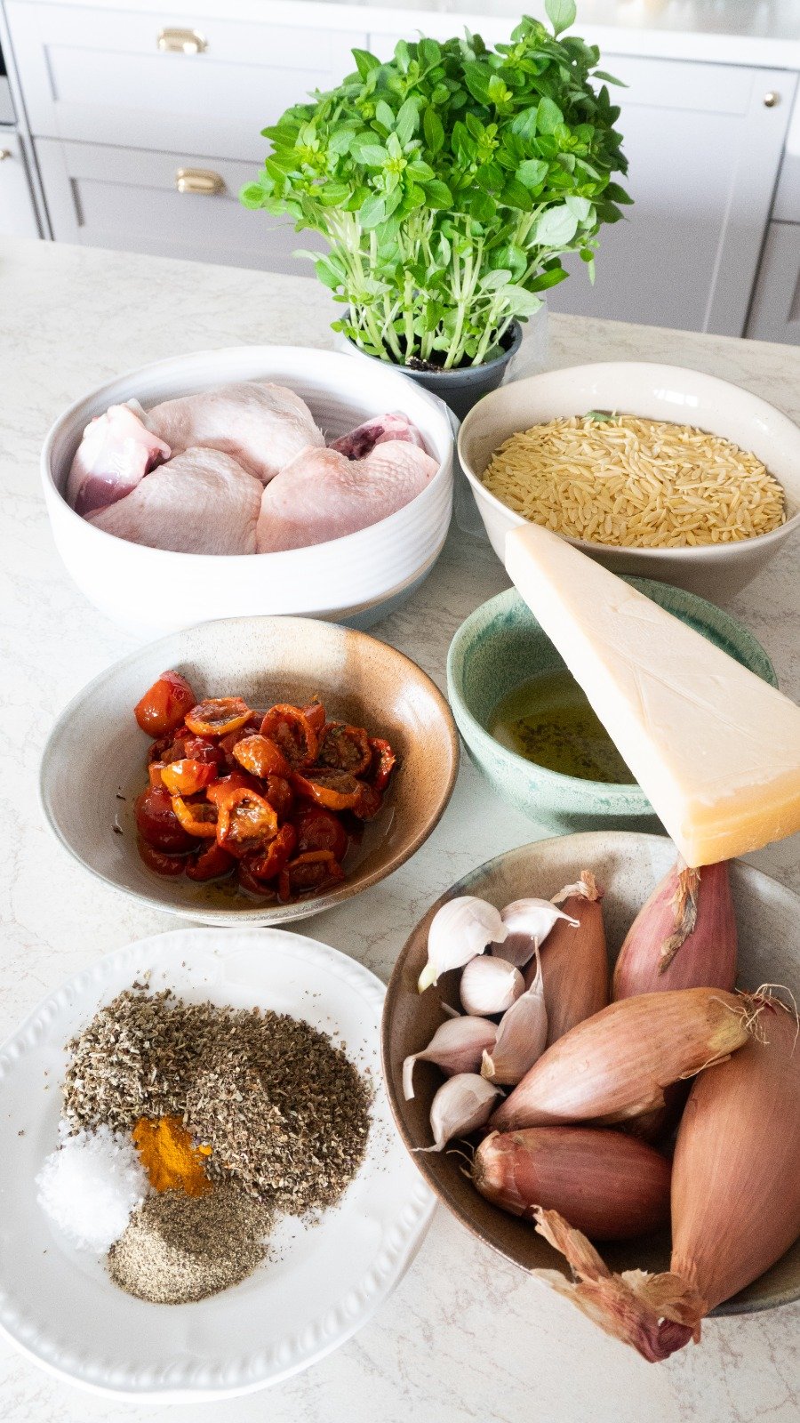 Ingredients needed to make this One Pot Sundried Tomato Chicken and Orzo