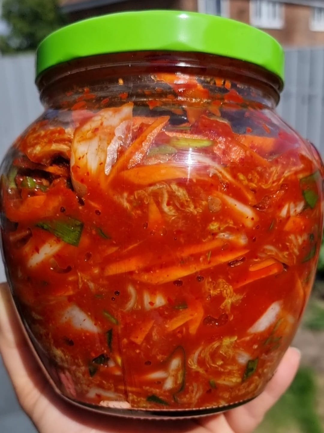 Kimchi beautifully jarred and sealed tightly.