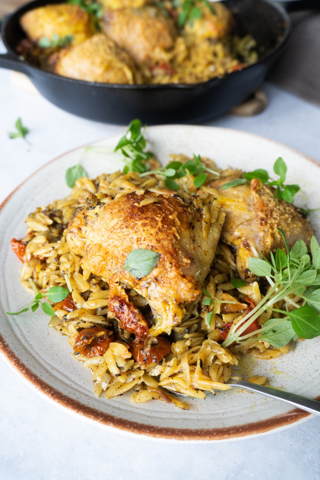 A delicious One Pot Sundried Tomato Chicken and Orzo recipe that is so quick and easy to make.