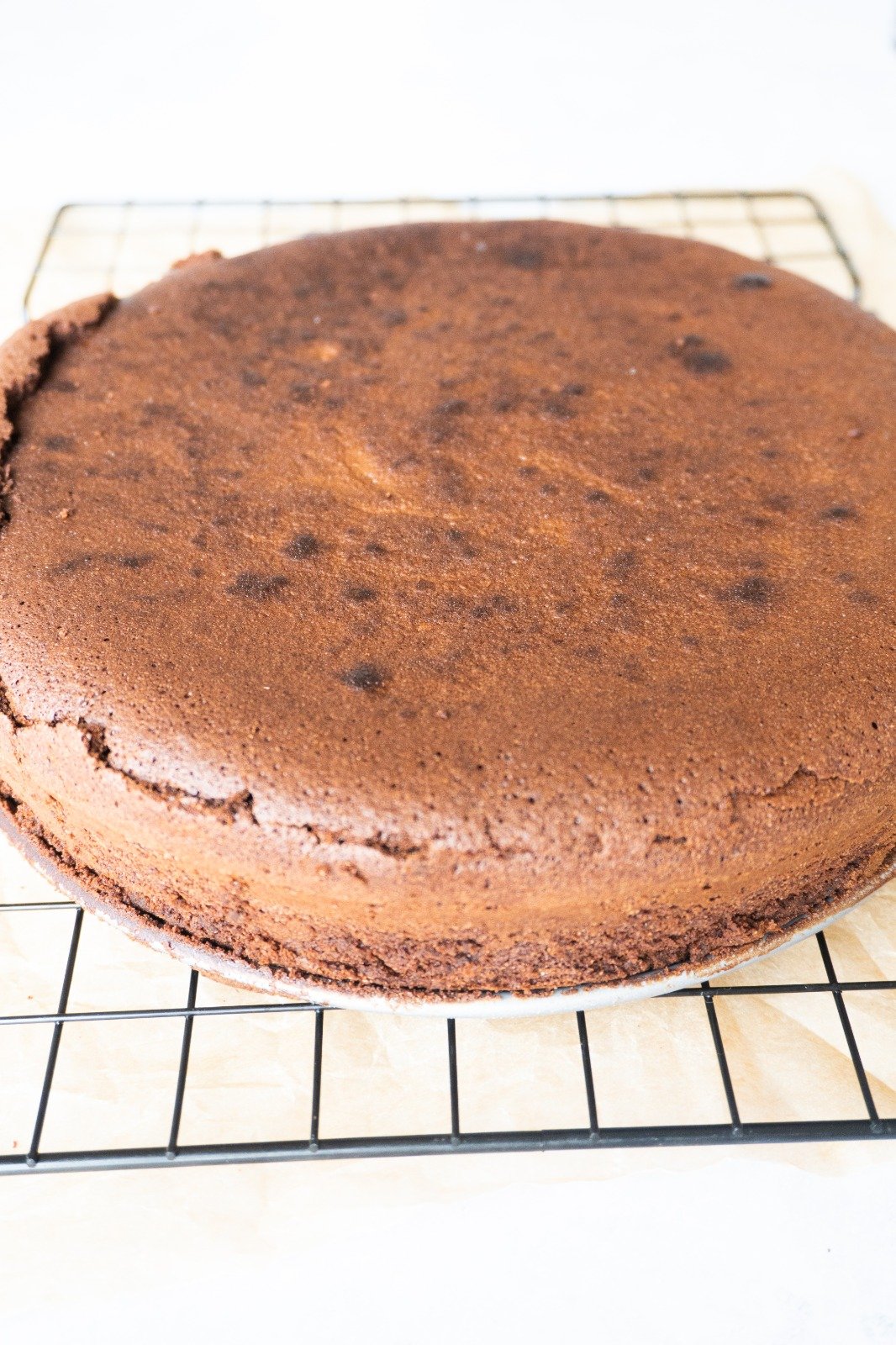 Tasty Flourless Chocolate Cake to serve family, friends and guests.